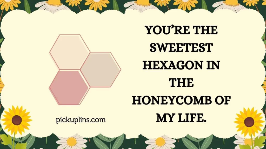 Romantic Hexagon Lines