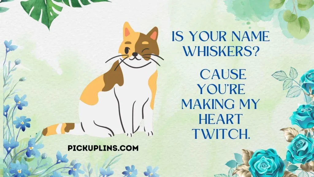 Sassy Cat Rizz Lines