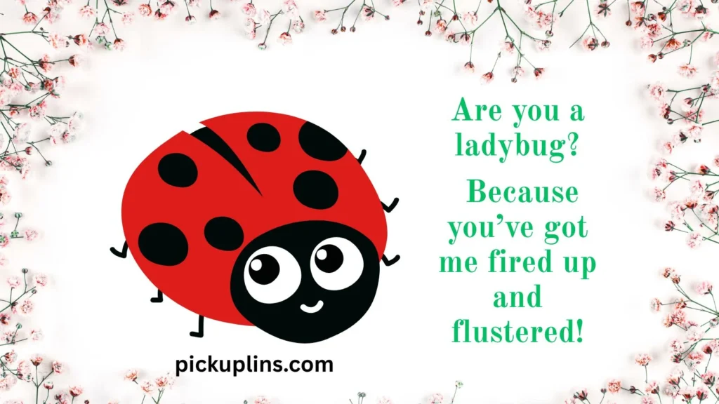 Sizzling Ladybug Lines