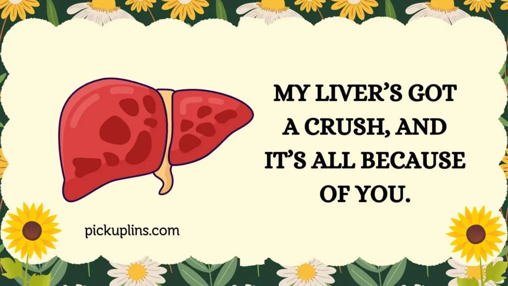 Sweet Hepatic Lines