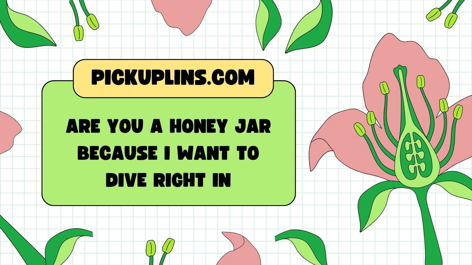 Beary Pickup Lines