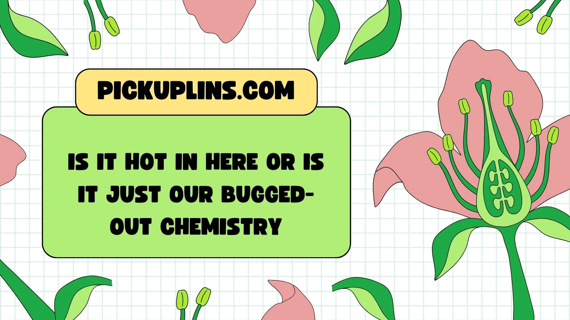 Beetle Pickup Lines