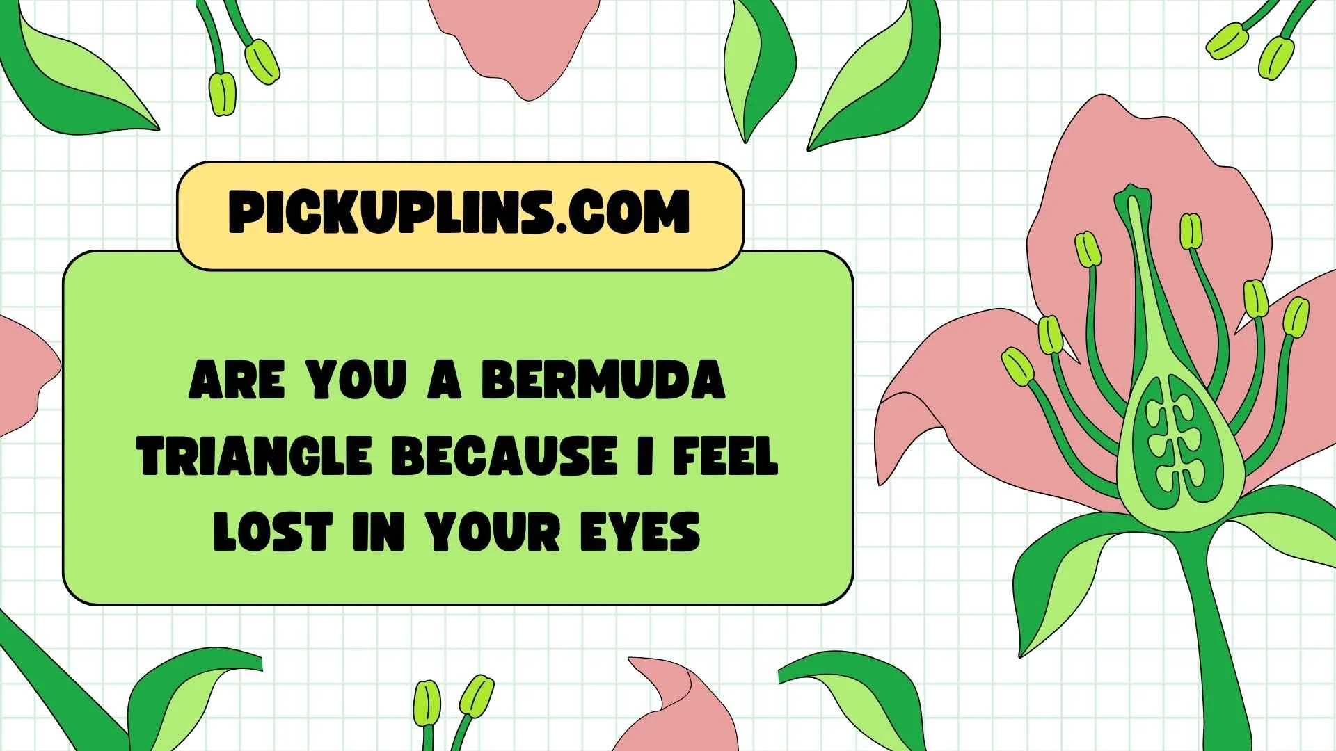 Bermuda Pickup Lines