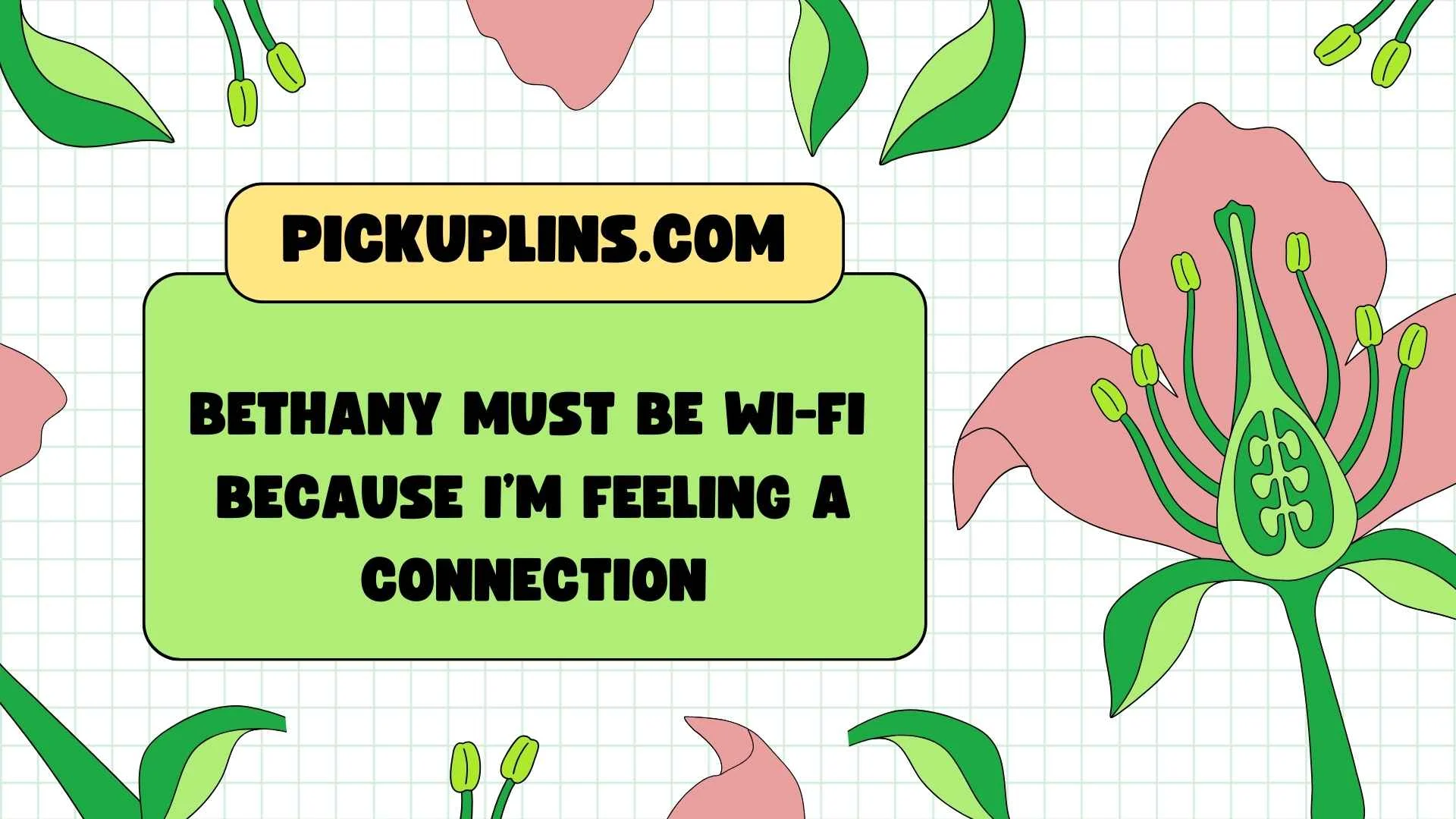 Bethany Pickup Lines