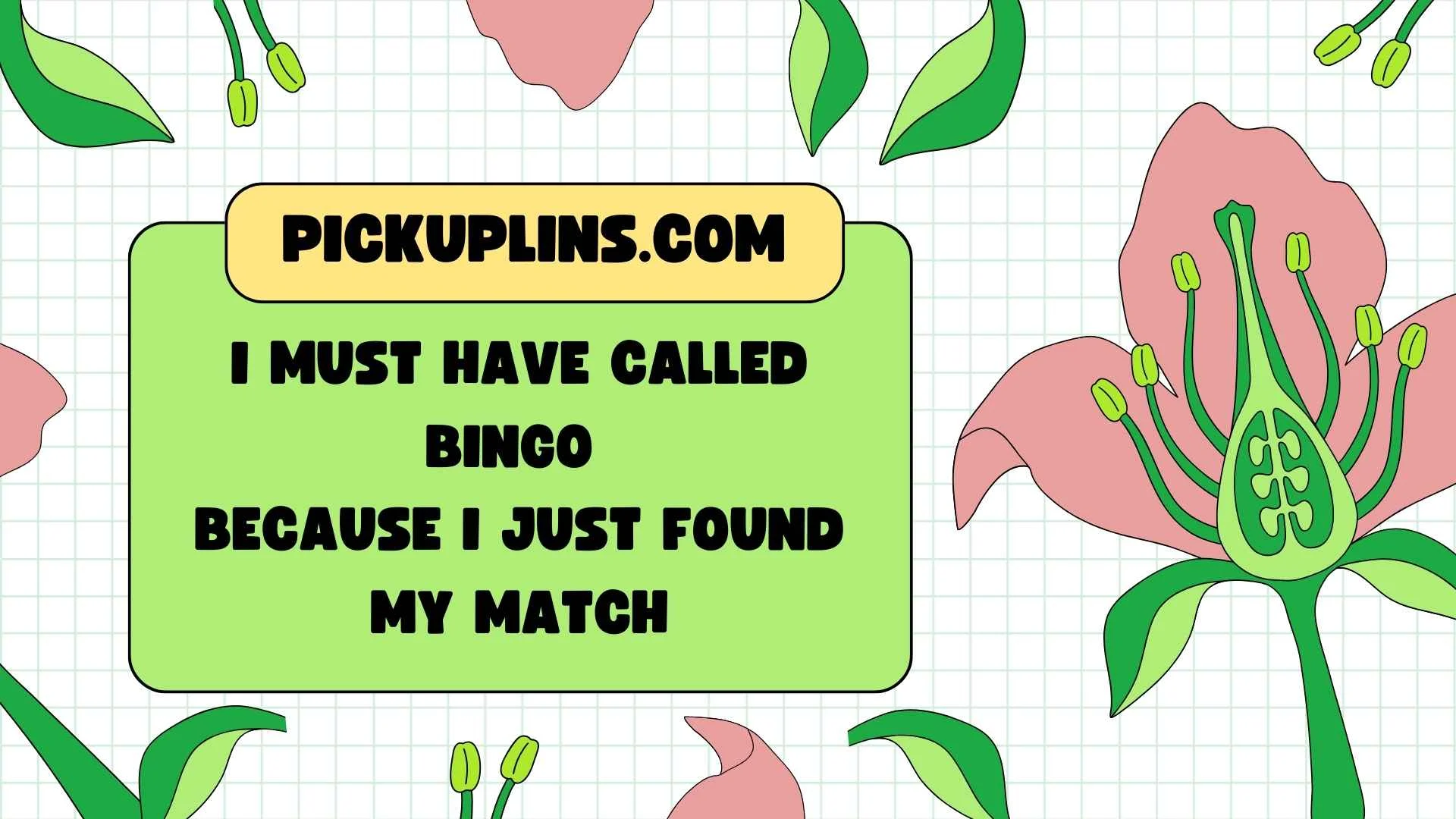 Bingo Pickup Lines