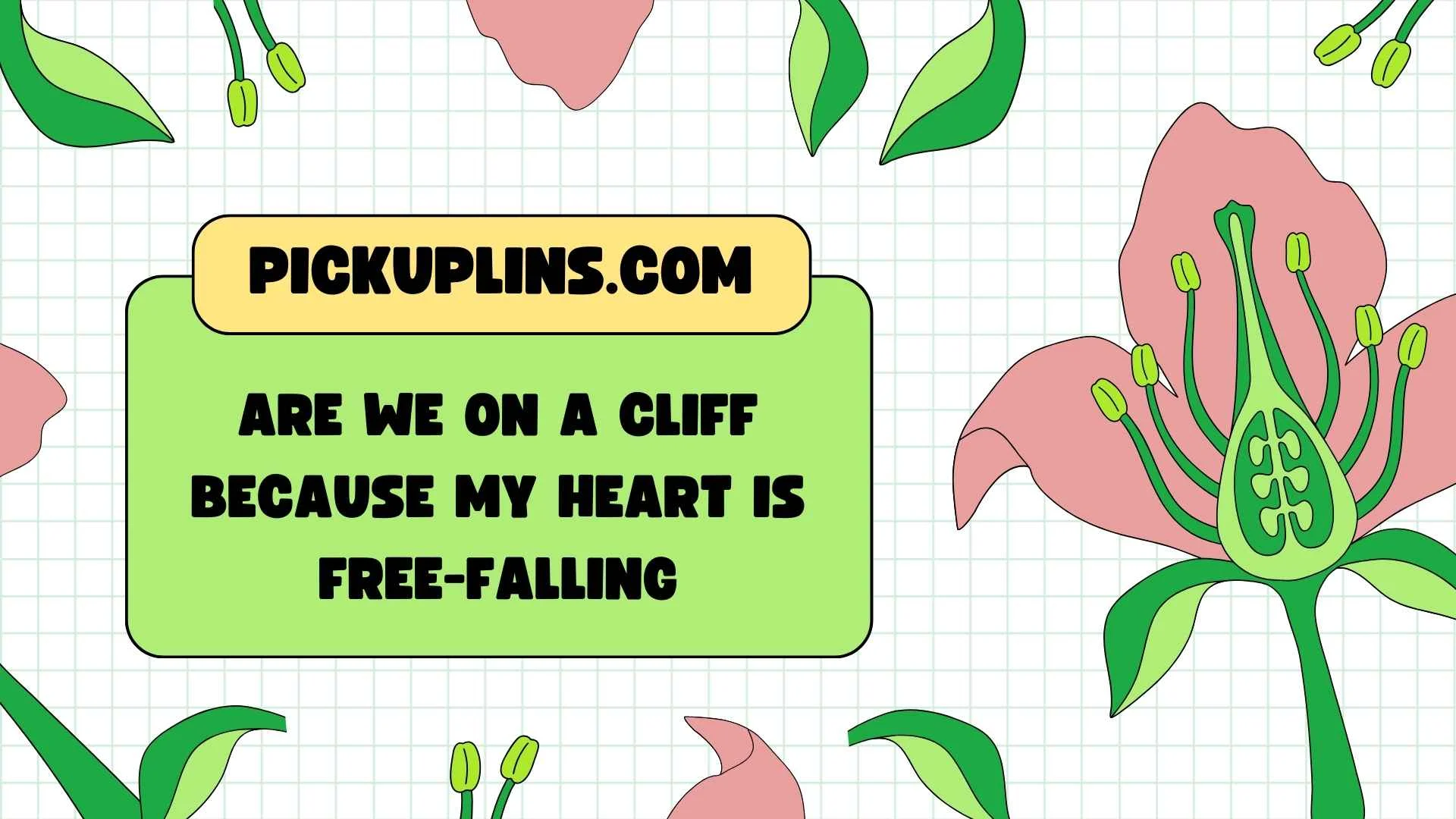 Boulder Pickup Lines