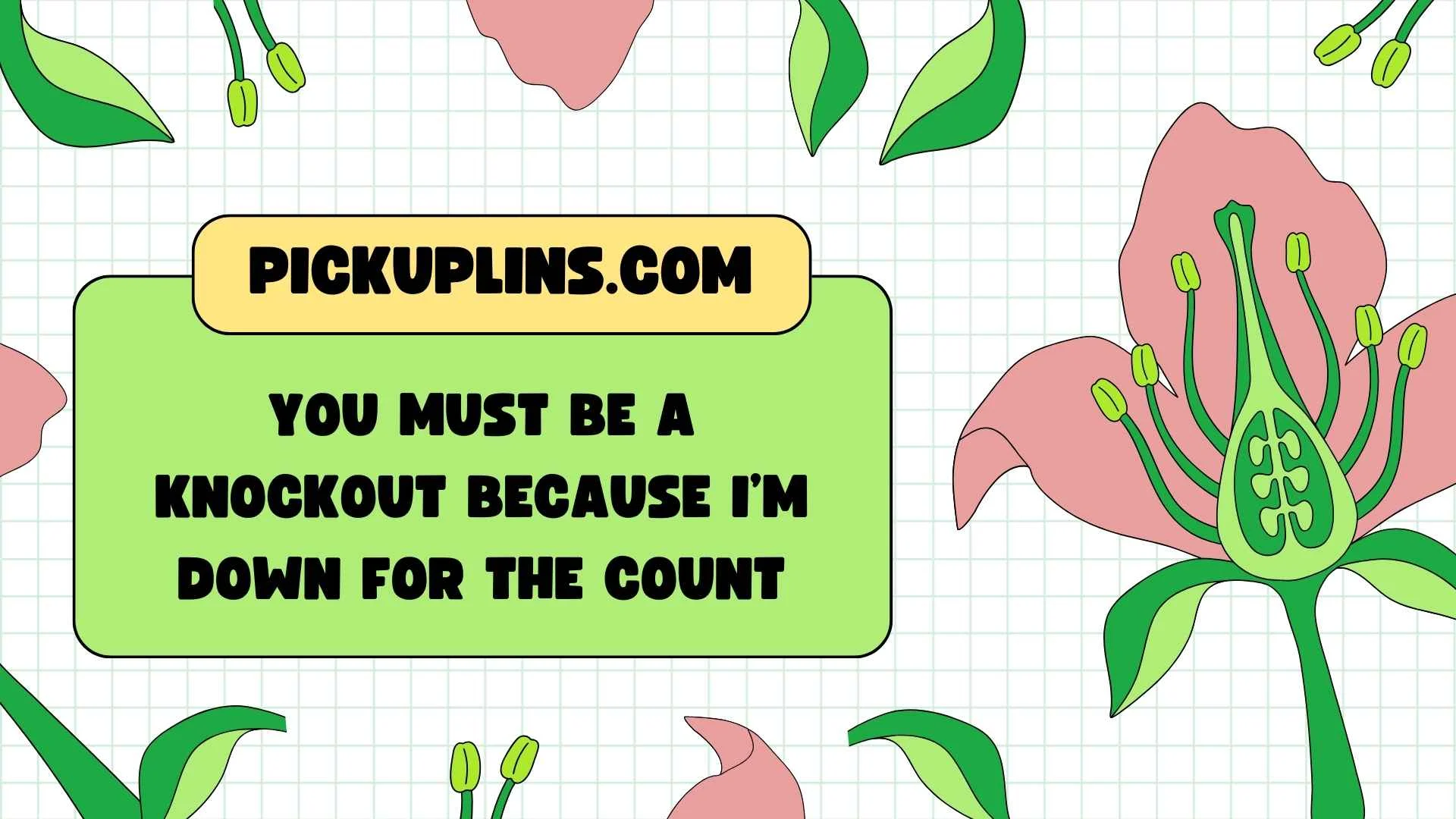 Boxer Pickup Lines
