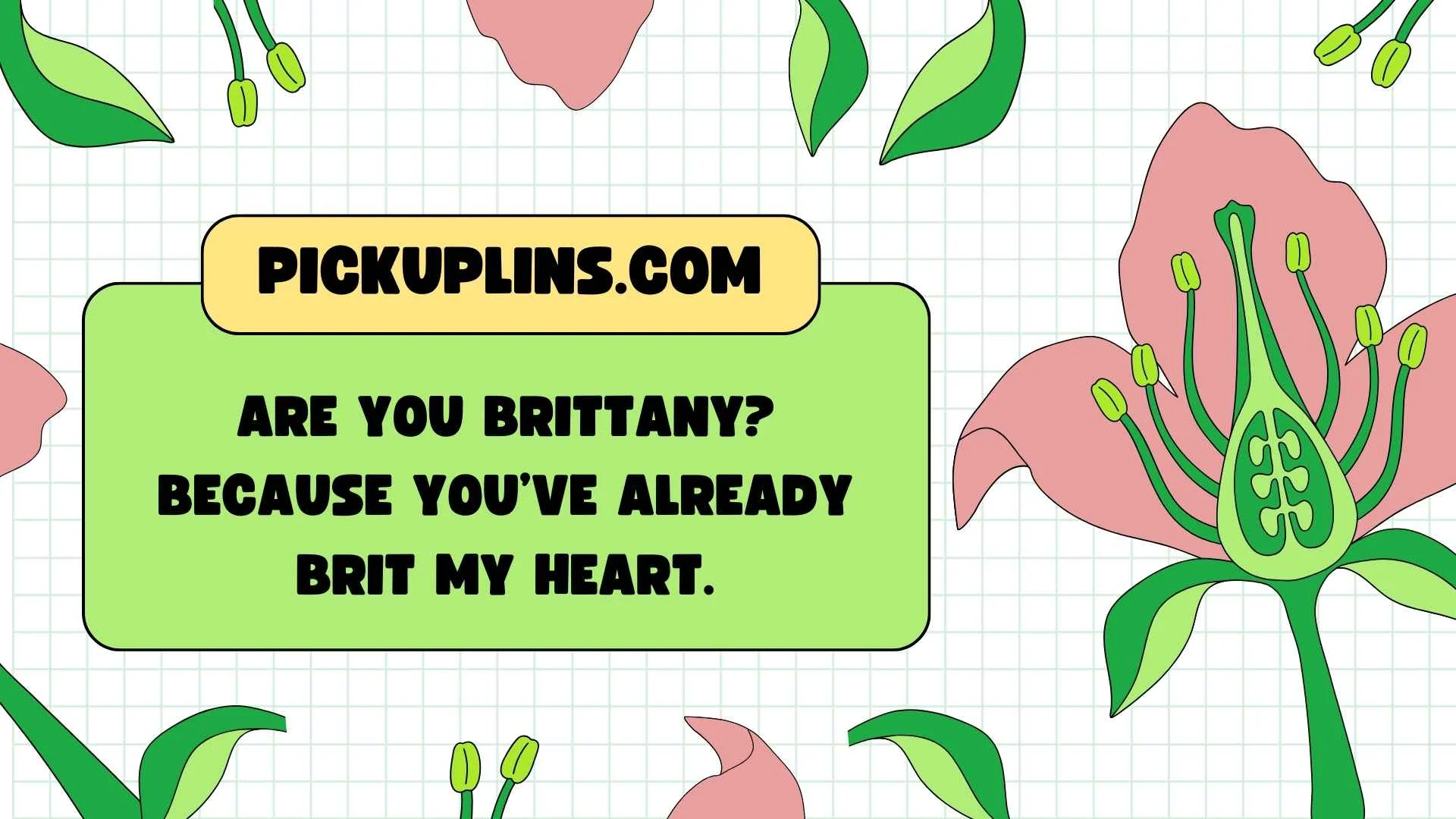 Brittany Pickup Lines