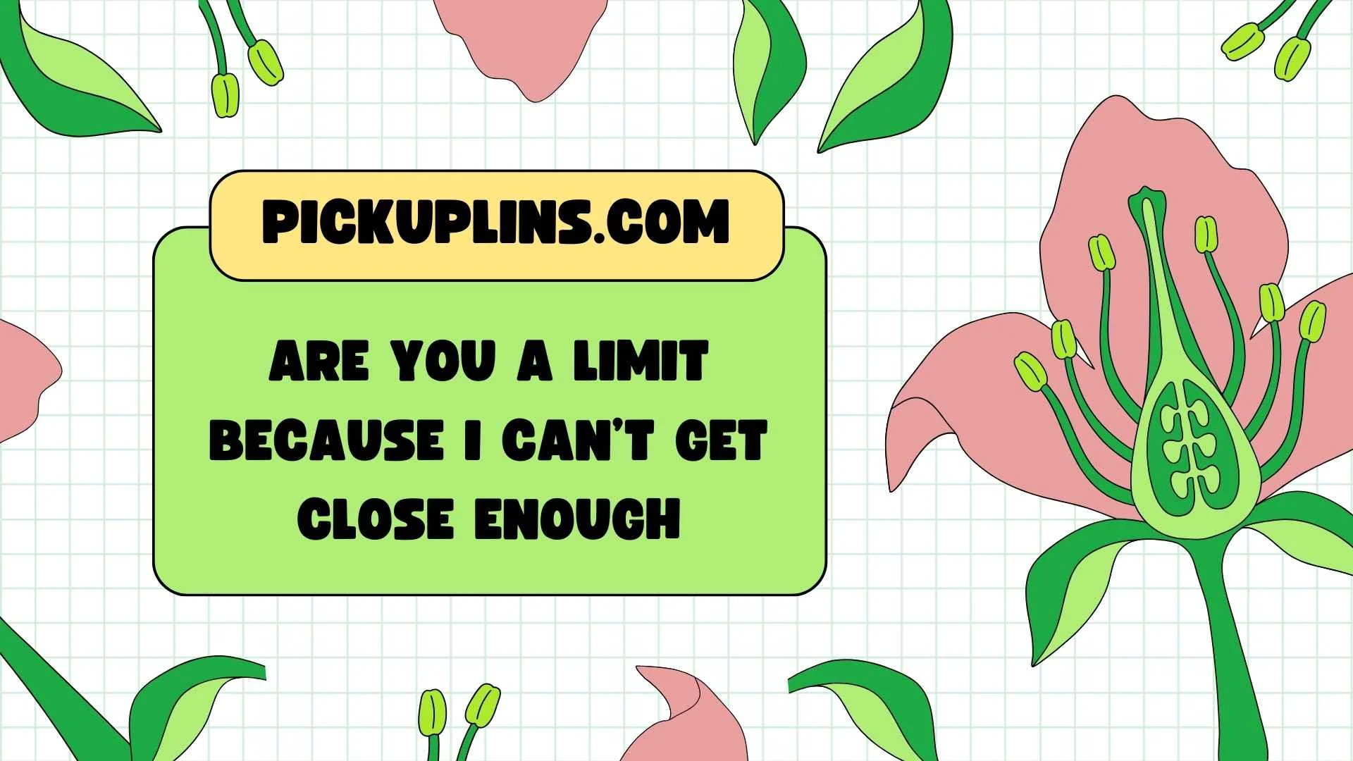Calc Pickup Lines