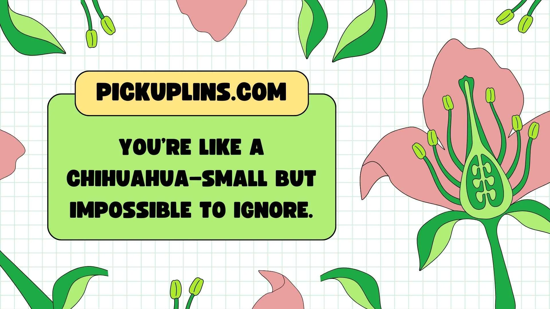 Chihuahua Pickup Lines