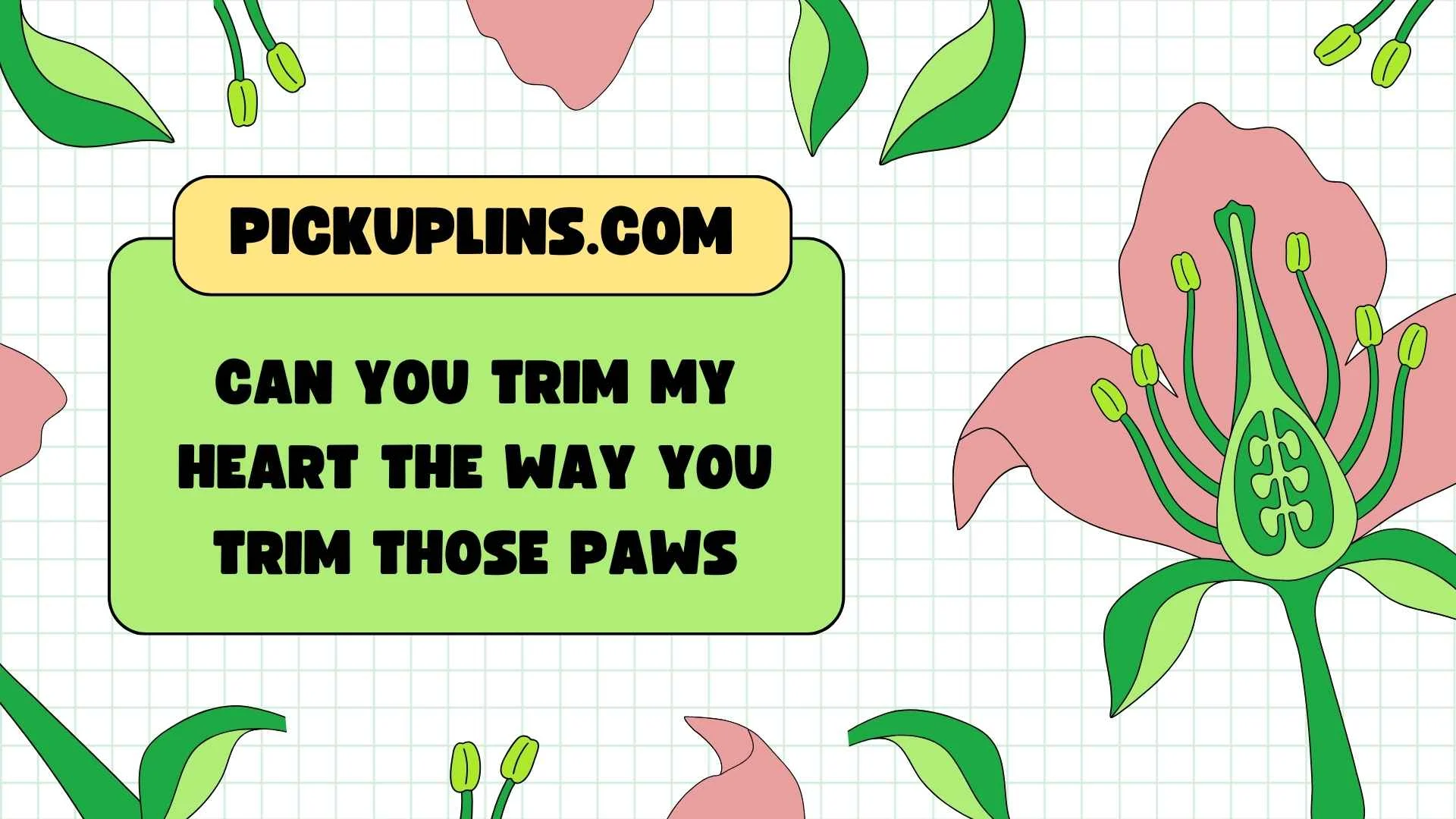 Dog Groomer Pickup Lines