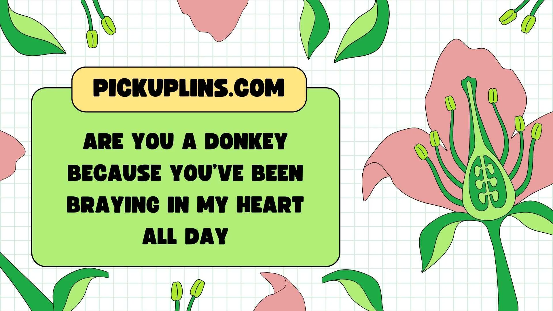 Donkey Pickup Lines