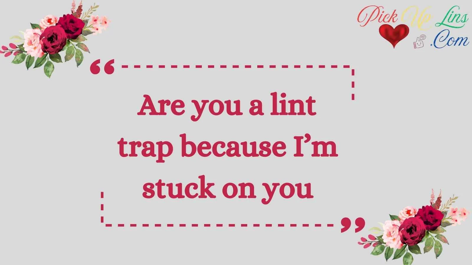 Dryer Pickup Lines